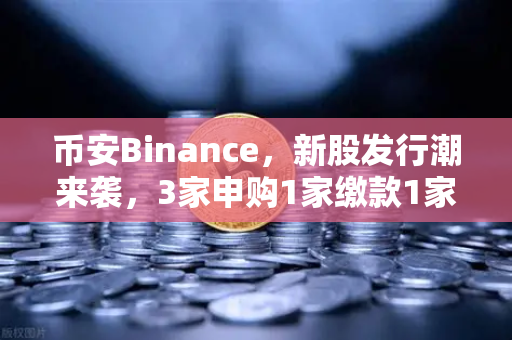 币安Binance，新股发行潮来袭，3家申购1家缴款1家上市全解析