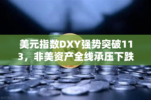 美元指数DXY强势突破113，非美资产全线承压下跌，币安投资者如何避险？