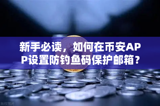 新手必读，如何在币安APP设置防钓鱼码保护邮箱？
