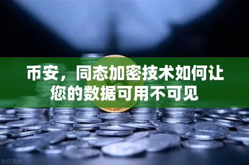 币安，同态加密技术如何让您的数据可用不可见
