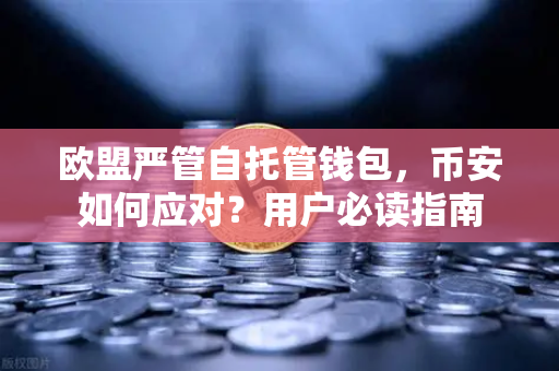 欧盟严管自托管钱包，币安如何应对？用户必读指南