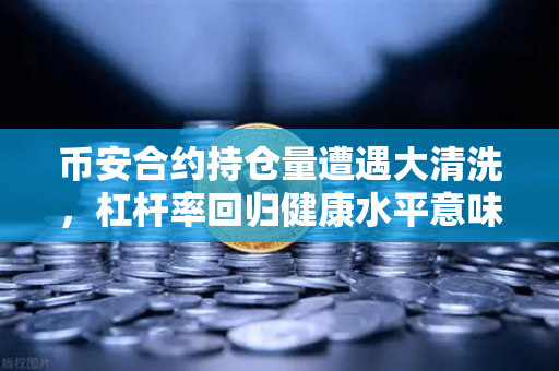 币安合约持仓量遭遇大清洗，杠杆率回归健康水平意味着什么？