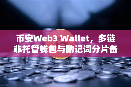 币安Web3 Wallet，多链非托管钱包与助记词分片备份，你的数字资产终极守护者
