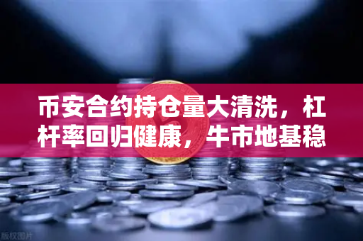 币安合约持仓量大清洗，杠杆率回归健康，牛市地基稳了？