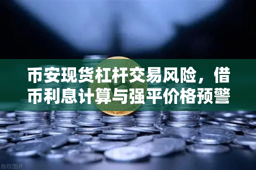 币安现货杠杆交易风险，借币利息计算与强平价格预警机制