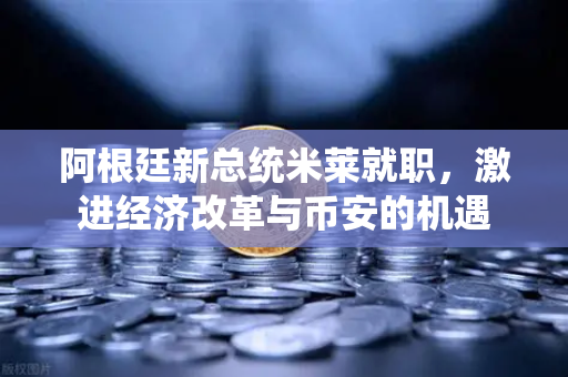 阿根廷新总统米莱就职，激进经济改革与币安的机遇