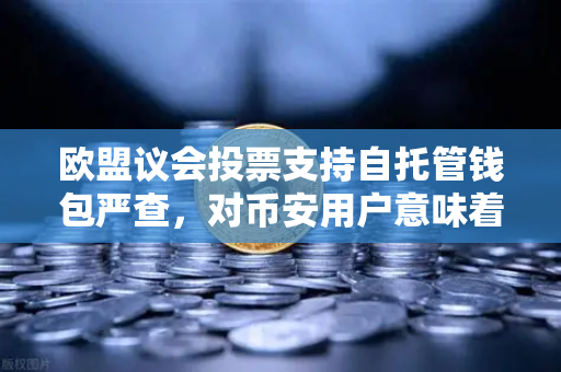 欧盟议会投票支持自托管钱包严查，对币安用户意味着什么？