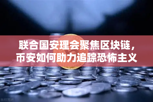 联合国安理会聚焦区块链，币安如何助力追踪恐怖主义融资链条