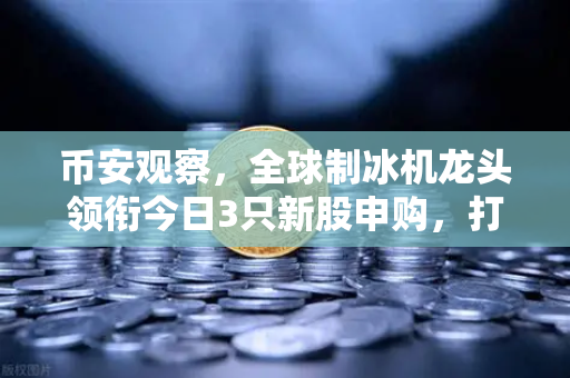 币安观察，全球制冰机龙头领衔今日3只新股申购，打新热浪背后暗藏哪些投资密码？