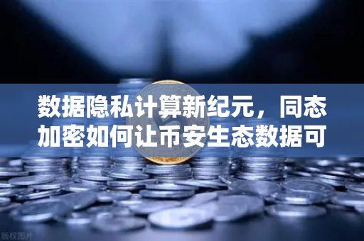 数据隐私计算新纪元，同态加密如何让币安生态数据可用不可见？