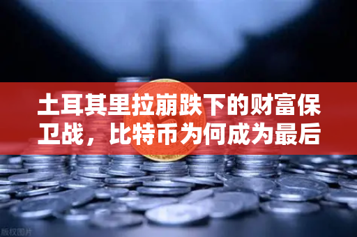 土耳其里拉崩跌下的财富保卫战，比特币为何成为最后避风港？