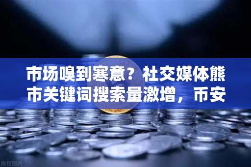 市场嗅到寒意？社交媒体熊市关键词搜索量激增，币安用户该如何应对情绪风暴