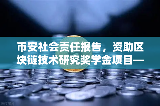 币安社会责任报告，资助区块链技术研究奖学金项目—用技术点亮未来