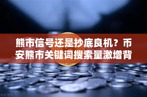 熊市信号还是抄底良机？币安熊市关键词搜索量激增背后的市场情绪密码
