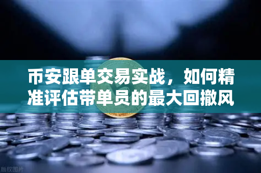 币安跟单交易实战，如何精准评估带单员的最大回撤风险？
