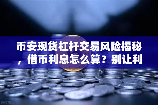 币安现货杠杆交易风险揭秘，借币利息怎么算？别让利息吃掉你的利润