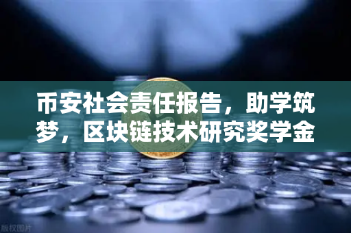 币安社会责任报告，助学筑梦，区块链技术研究奖学金项目全面启动