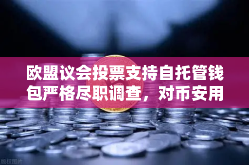 欧盟议会投票支持自托管钱包严格尽职调查，对币安用户意味着什么？
