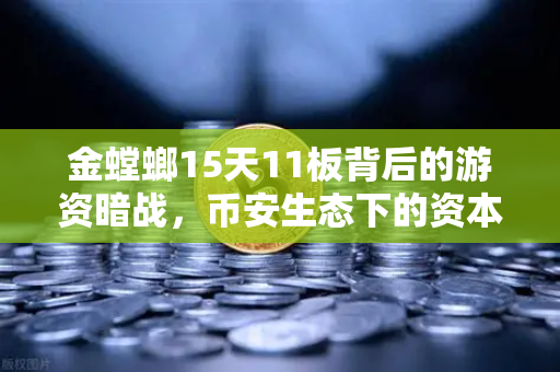 金螳螂15天11板背后的游资暗战，币安生态下的资本狂欢与真相
