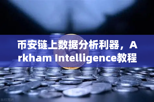 币安链上数据分析利器，Arkham Intelligence教程，可视化追踪资金流向