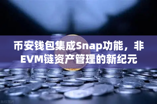 币安钱包集成Snap功能，非EVM链资产管理的新纪元