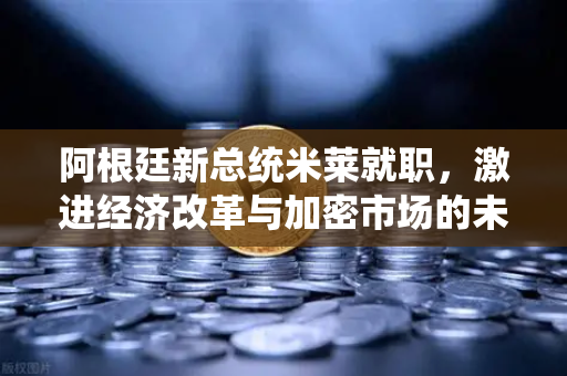 阿根廷新总统米莱就职，激进经济改革与加密市场的未来机遇