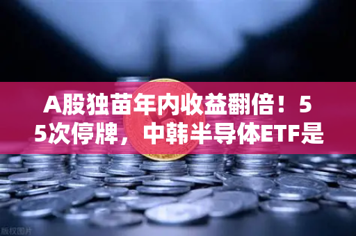 A股独苗年内收益翻倍！55次停牌，中韩半导体ETF是机会还是坑？