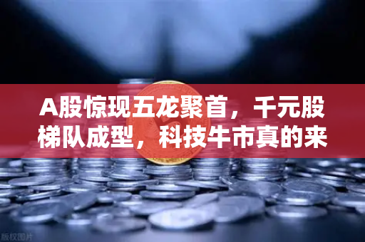 A股惊现五龙聚首，千元股梯队成型，科技牛市真的来了吗？