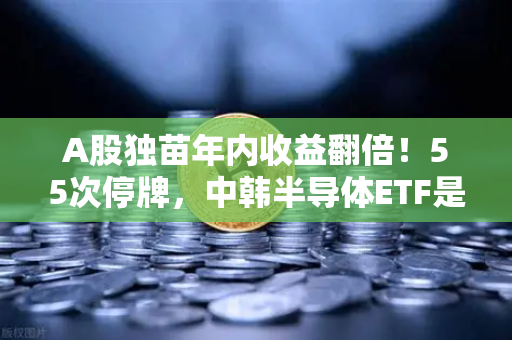 A股独苗年内收益翻倍！55次停牌，中韩半导体ETF是机会还是坑？深度拆解币安视角下的投资逻辑