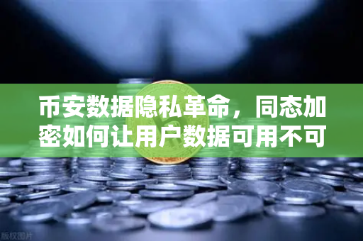 币安数据隐私革命，同态加密如何让用户数据可用不可见