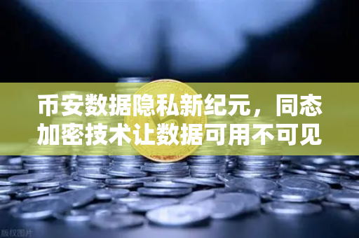 币安数据隐私新纪元，同态加密技术让数据可用不可见