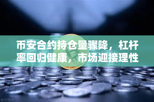 币安合约持仓量骤降，杠杆率回归健康，市场迎接理性新时代