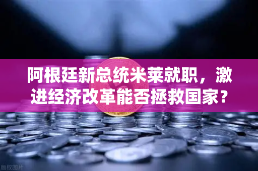 阿根廷新总统米莱就职，激进经济改革能否拯救国家？币安加密浪潮下的新机遇