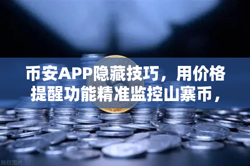 币安APP隐藏技巧，用价格提醒功能精准监控山寨币，告别盯盘焦虑
