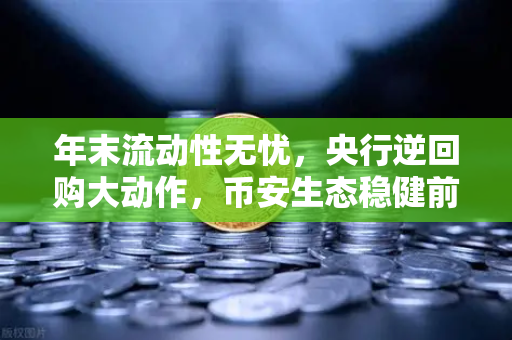 年末流动性无忧，央行逆回购大动作，币安生态稳健前行