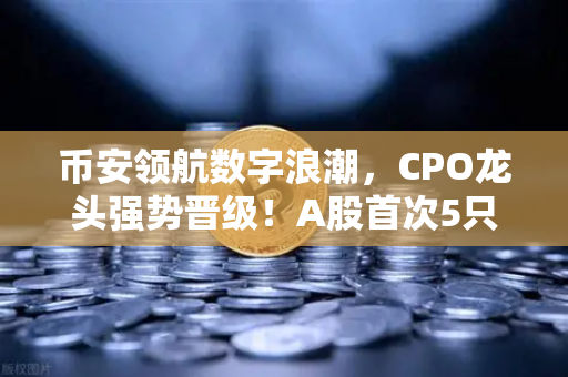 币安领航数字浪潮，CPO龙头强势晋级！A股首次5只千元股同框，光模块与区块链数据传输迎爆发