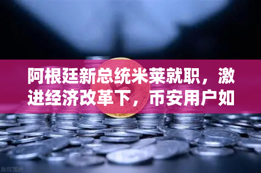 阿根廷新总统米莱就职，激进经济改革下，币安用户如何应对新变局？