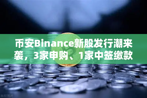 币安Binance新股发行潮来袭，3家申购、1家中签缴款、1家上市，投资机遇与风险并存