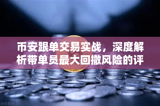 币安跟单交易实战，深度解析带单员最大回撤风险的评估之道