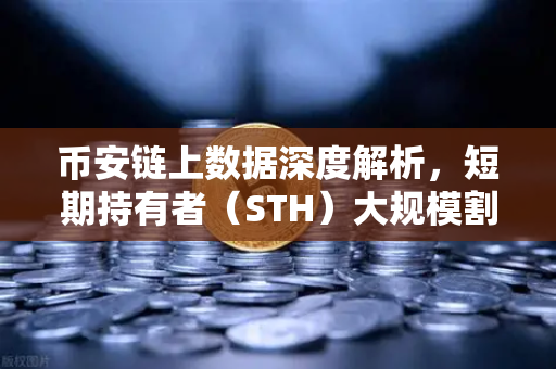 币安链上数据深度解析，短期持有者（STH）大规模割肉离场，市场底在哪里？