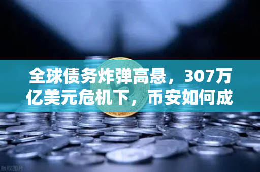 全球债务炸弹高悬，307万亿美元危机下，币安如何成为财富避风港？